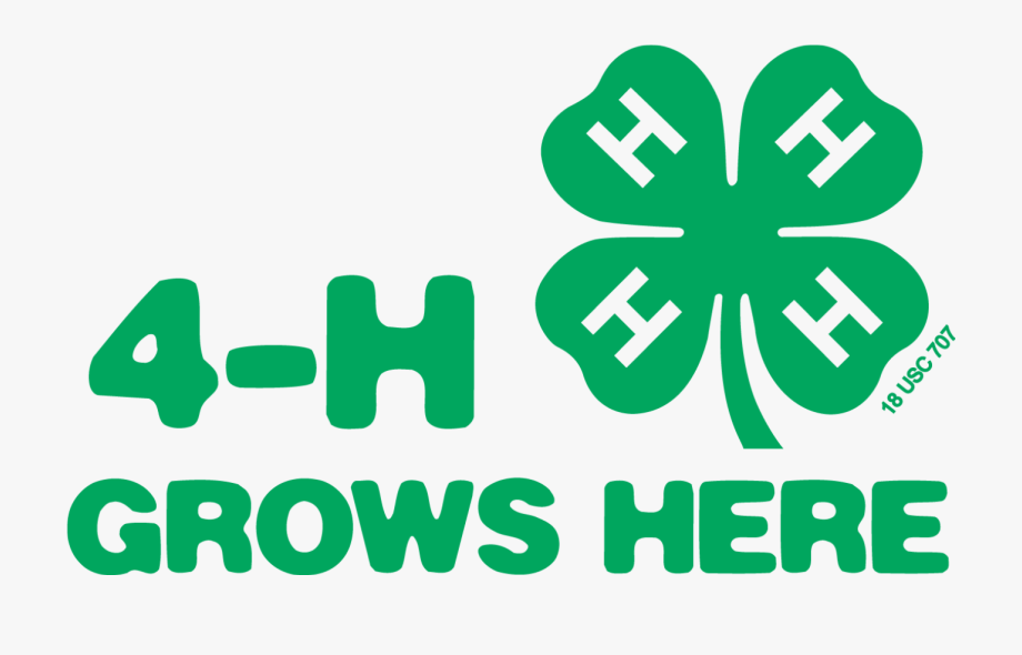 Want your blog to be featured?